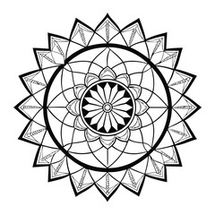 Fototapeta premium vector illustration of a flower