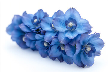 modern luxury delphinium,