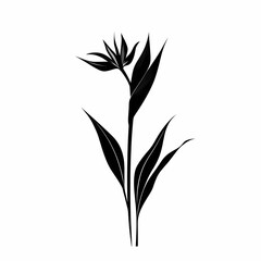 Fototapeta premium Elegant Silhouetted Flower Illustration. Minimalist Botanical Art for Modern Home Decor and Environmental Design