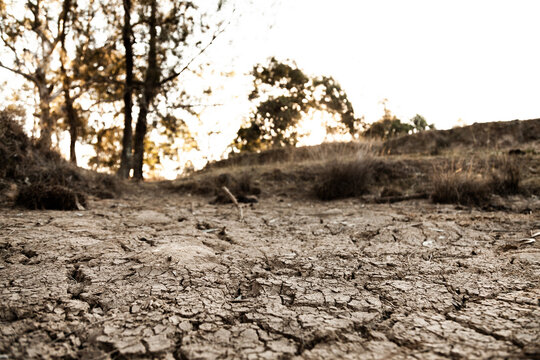 Dry cracked earth and mud in dried up farm dam