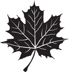 Black maple leaf flat icon on white background, vector.