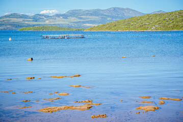 Muszle i ostrygi, Drače, Pelješac Island, Croatia, Adriatic: Calm blue water with distant mountains and aquaculture structures © Elsworth Frobisher