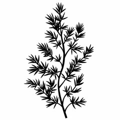 Black Silhouette Herb Branch. Decorative Foliage & Nature Illustration for Botanical Design & Home Decor Art