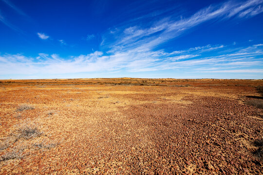 gibber plains in the Australian outback