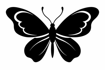 butterfly silhouette vector illustration black