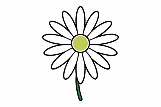 white daisy flower with green center and stem clip art preview