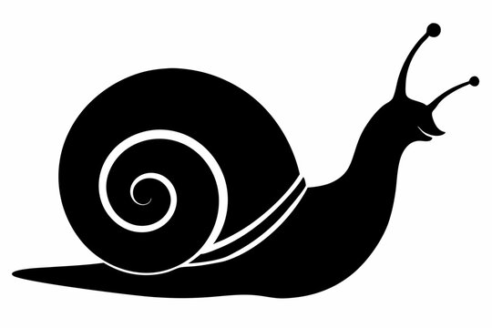 recommend clip art: Snail Silhouette Vector Illustration Black And White