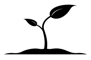 Sprouting Seed Silhouette Vector Illustration Black © mstsokera