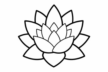 Succulent Plant Outline Vector Illustration With White