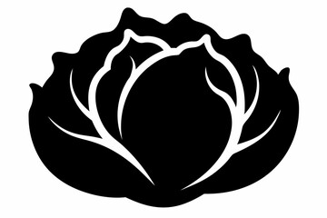 Cabbage Silhouette Vector Black And White With White