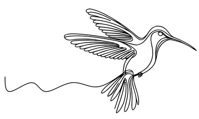 Elegant Line Art of a Hummingbird in Flight, vector illustration of a bird, bird in flight