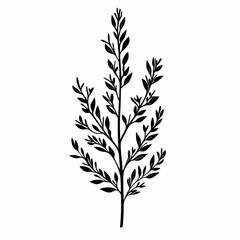 Obraz premium Hand-Drawn Botanical Silhouette Illustration. Minimalist Greenery for Eco-Friendly Wall Art and Design