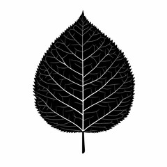 Obraz premium Monochrome Botanical Leaf Silhouette. Minimalist Black and White Nature Illustration for Elegant Eco-Friendly Wall Art