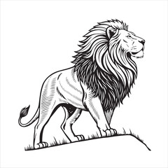 Lion Vector
