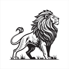 Lion Vector
