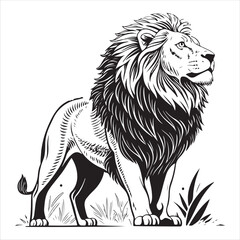 Lion Vector