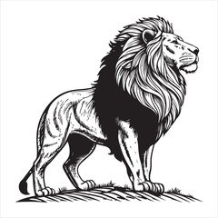 Lion Vector