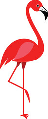 flamingo on white