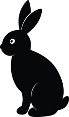black and white rabbit