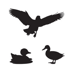 Silhouette of duck vector icon set illustration isolated on white background.