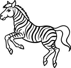 zebra vector illustration