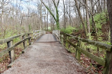 The old wooden bridge on the trail in the fall forest.