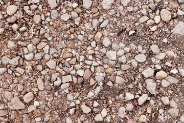 A close view of the pebble gravel in the wet dirt.