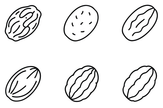 raisin line art stylish illustration abstract line drawing