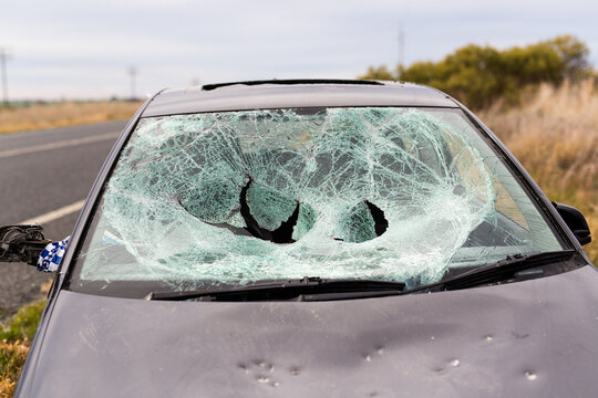 Car damaged in a motor vehicle accident