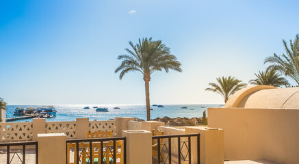 Red Sea | Egypt | Marsa Alam | Hurghada | Scuba | Marine Life | Corals