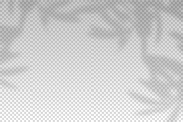 Plants overlay shadow. Reflect light from branches. Sun rays reflection shadows on wall. Reflected shades isolated on transparent background. Horizontal shading design mockup. Vector illustration