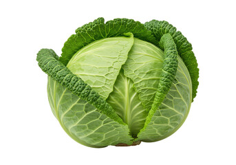 Obraz premium Fresh head of cabbage isolated on white background