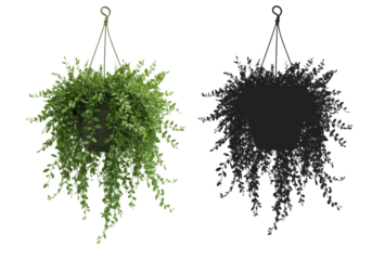 Hanging plant wreath, two-tone isolated on white background