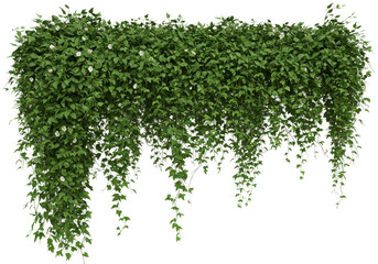 Obraz premium Lush cascading greenery isolated on white background