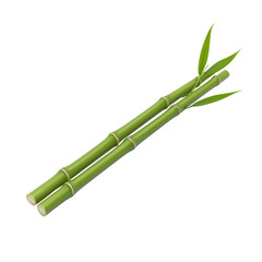 Fototapeta premium Fresh Green Bamboo Stalks with Leaves Isolated on White Background