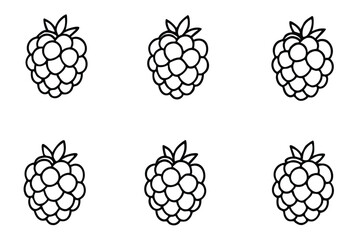 raspberry line art fresh modern graphic art style