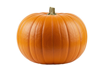 Obraz premium Single ripe orange pumpkin isolated on white background