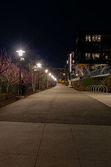 River walk at light, lite by decorative street lights