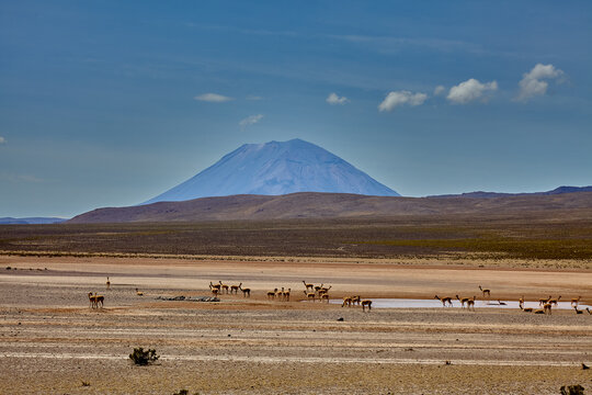 Misti Volcano is an iconic and active stratovolcano located near Arequipa in southern Peru. It is one of the prominent volcanoes in the Andes mountain range and is known for its nearly symmetrical, co