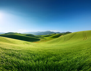 Fototapeta premium Lush green rolling hills under a clear blue sky, creating a serene and picturesque landscape