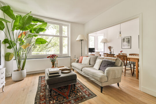 A stylish modern living room with abundant natural light, featuring a sofa, decorative plants, and a cozy atmosphere that feels warm and welcoming.
