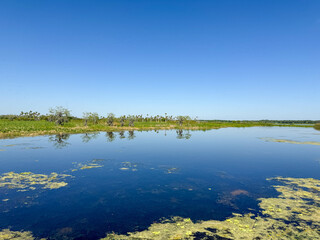 The landscape at the Orlando Wetlands park in Orlando, Florida