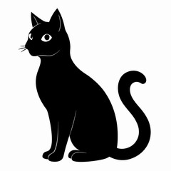 black cat on white background