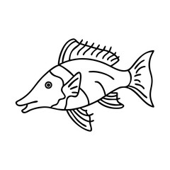 hogfish icon, hogfish vector illustration-simple illustration of hogfish, perfect for hogfish logos and icons