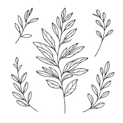 seamless pattern with leaves