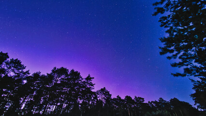 night sky with stars