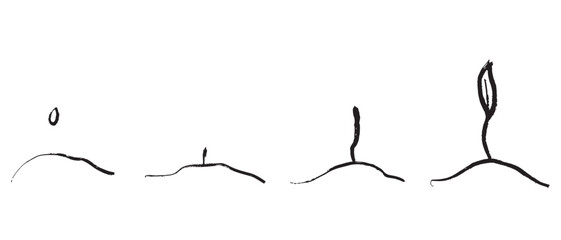 Process of plant growing from seed to first leaf in ground in black brush stroke texture isolated on white. Hand drawn vector sketch illustration in vintage charcoal ink. Ecology symbol, environment.