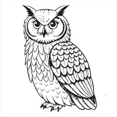 Owl Vector 