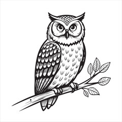 Owl Vector 