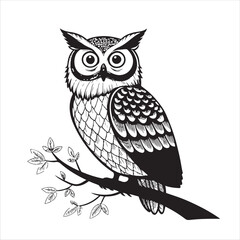 Owl Vector 